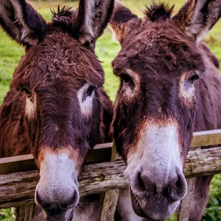 Bed and breakfast Le Pré Doré Bonneville-la-Louvet