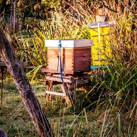 Le Pré Doré Bed and breakfast Bonneville-la-Louvet