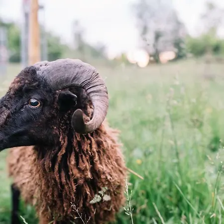 Bed and breakfast Le Pré Doré 3*