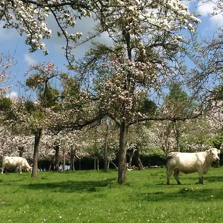Bed and breakfast Le Pré Doré