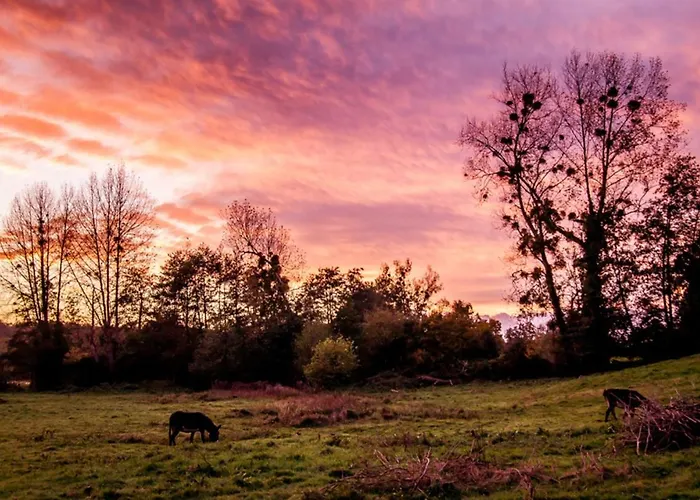 Le Pre Dore Bed & Breakfast 3*