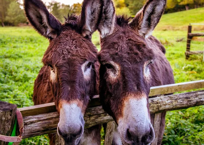 Bed & Breakfast Le Pre Dore Bonneville-la-Louvet