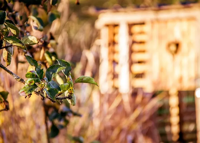 Le Pre Dore 3* Bonneville-la-Louvet