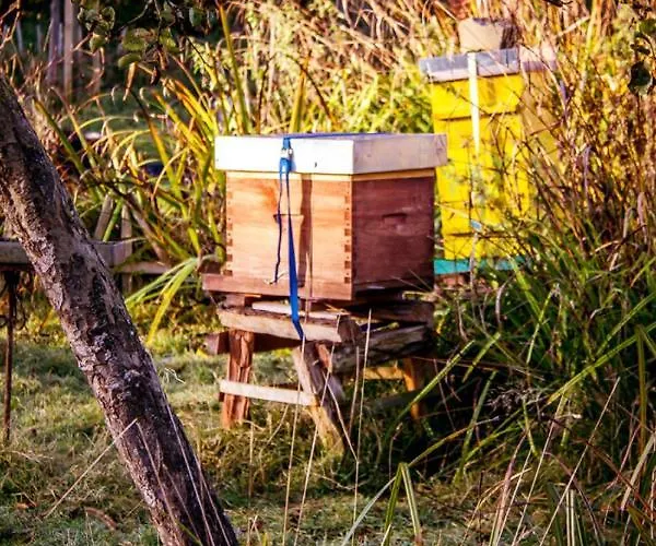 Le Pre Dore Bed & Breakfast Bonneville-la-Louvet