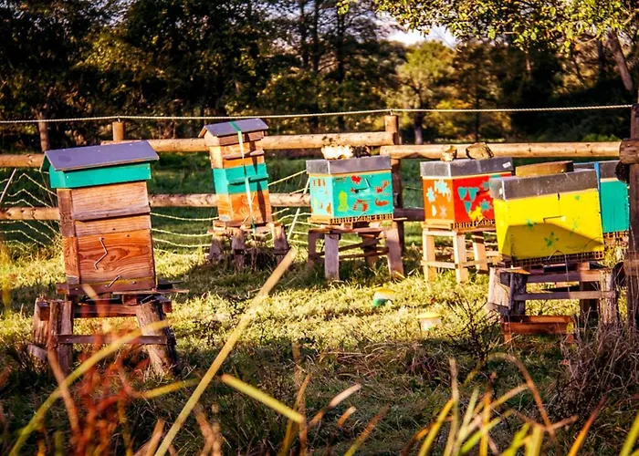 Le Pre Dore 3* Bonneville-la-Louvet