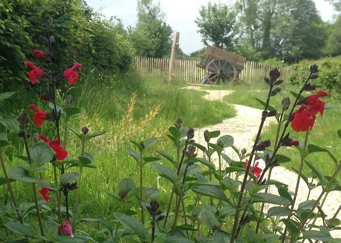 Bed & Breakfast Le Pre Dore