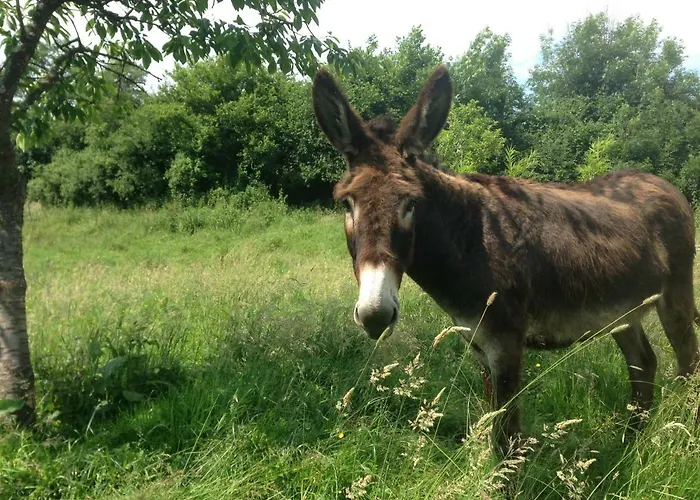 Bed & Breakfast Le Pre Dore