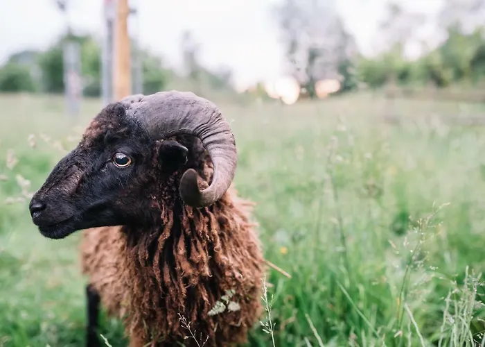 Bed & Breakfast Le Pre Dore 3*