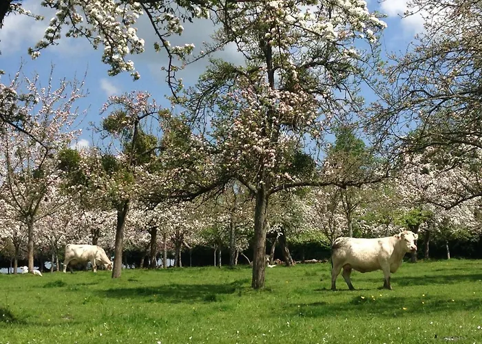 Bed & Breakfast Le Pre Dore