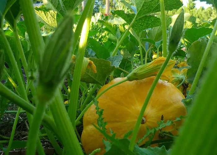 Bed & Breakfast Le Pre Dore 3*